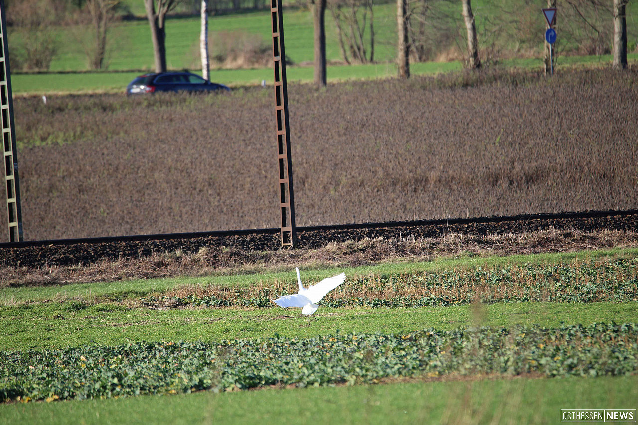 Bilderbuchwetter zum Wandern und Natur genießen im "Rhäden" und im