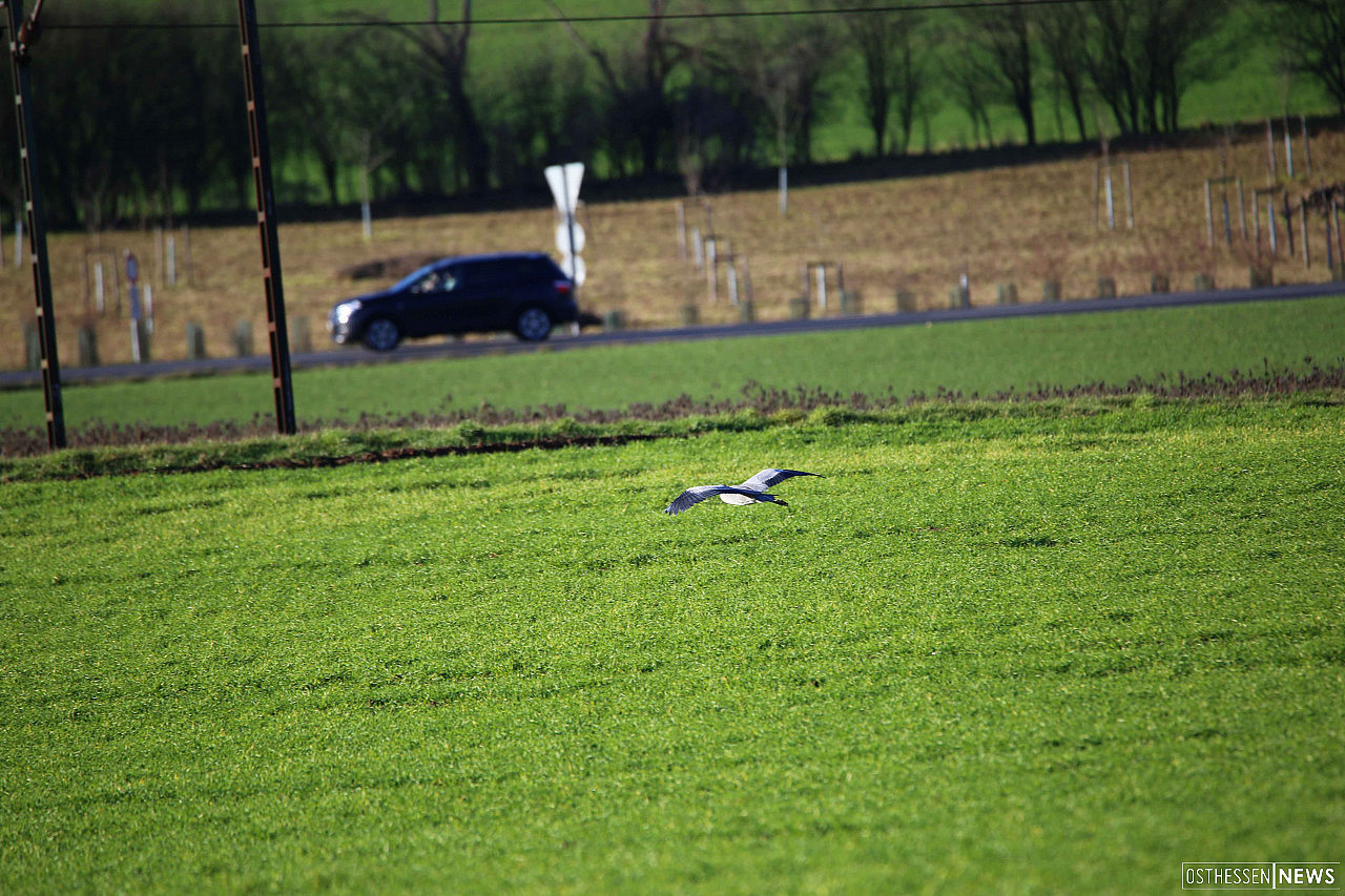 Bilderbuchwetter zum Wandern und Natur genießen im "Rhäden" und im