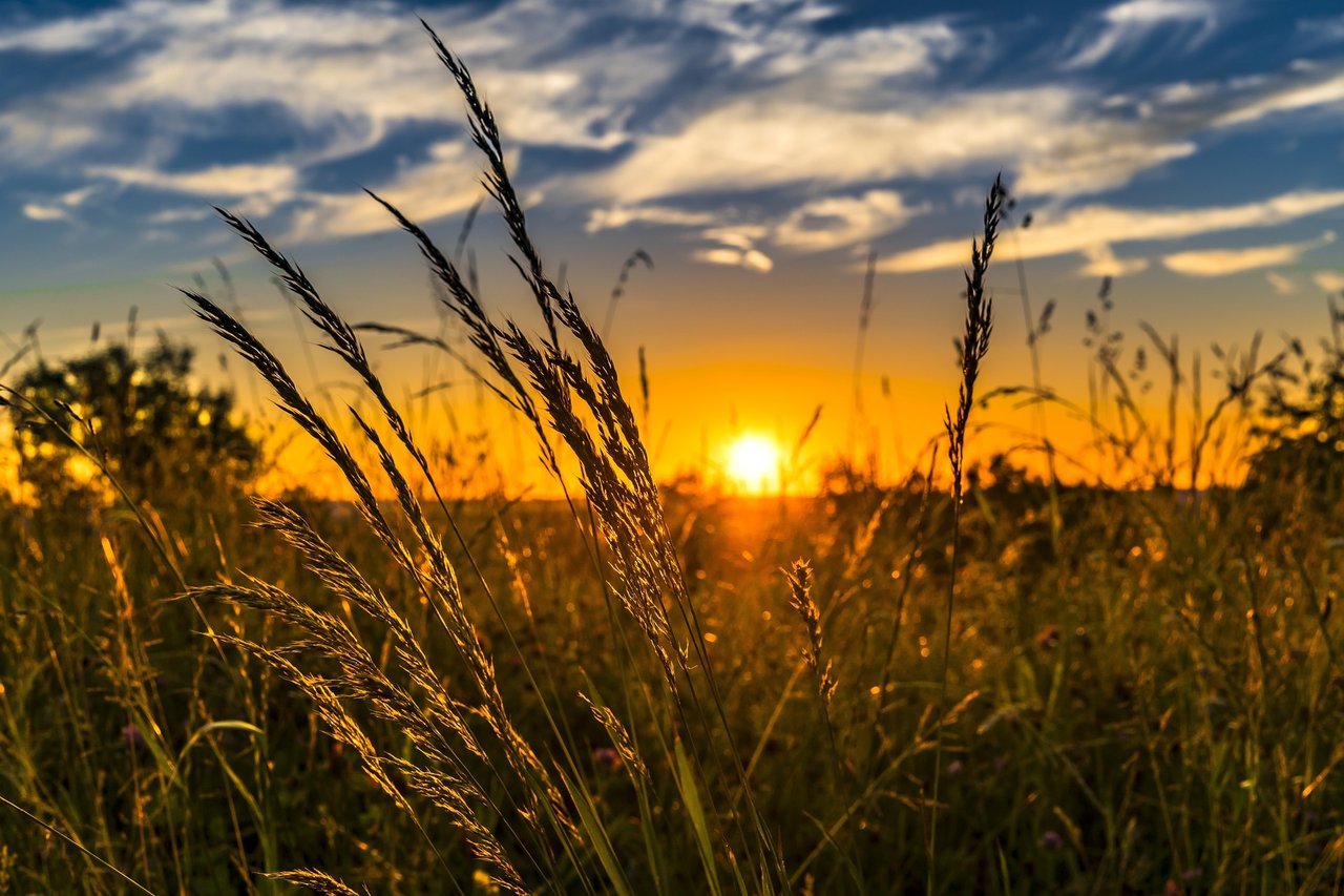 Der längste Tag des Jahres: Sommersonnenwende bringt den Sommer - Osthessen|News
