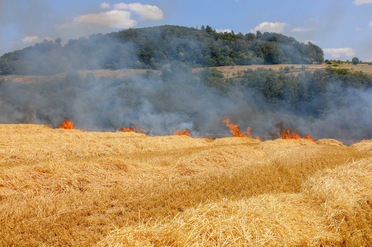 Feuerwehr kämpft gegen die Flammen an - \