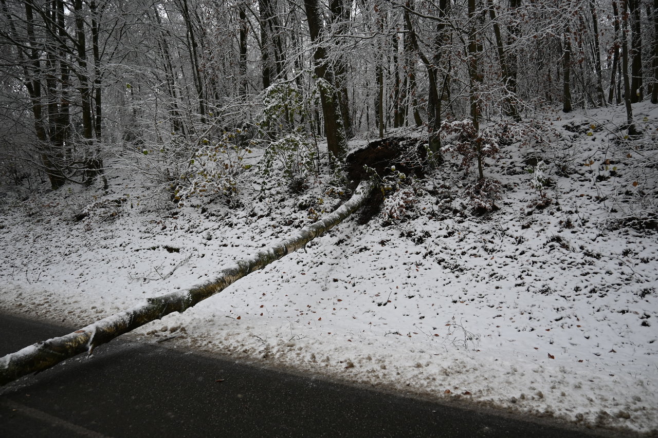 Wintereinbruch In Osthessen Sorgt F R Unf Lle Osthessen News