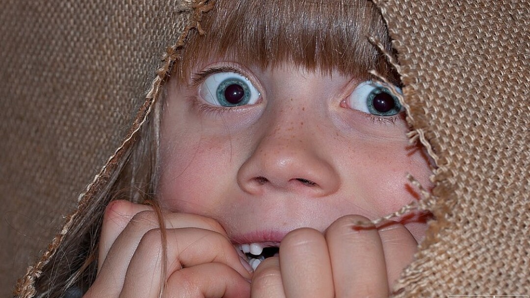 Die Furcht, von einer Ente beobachtet