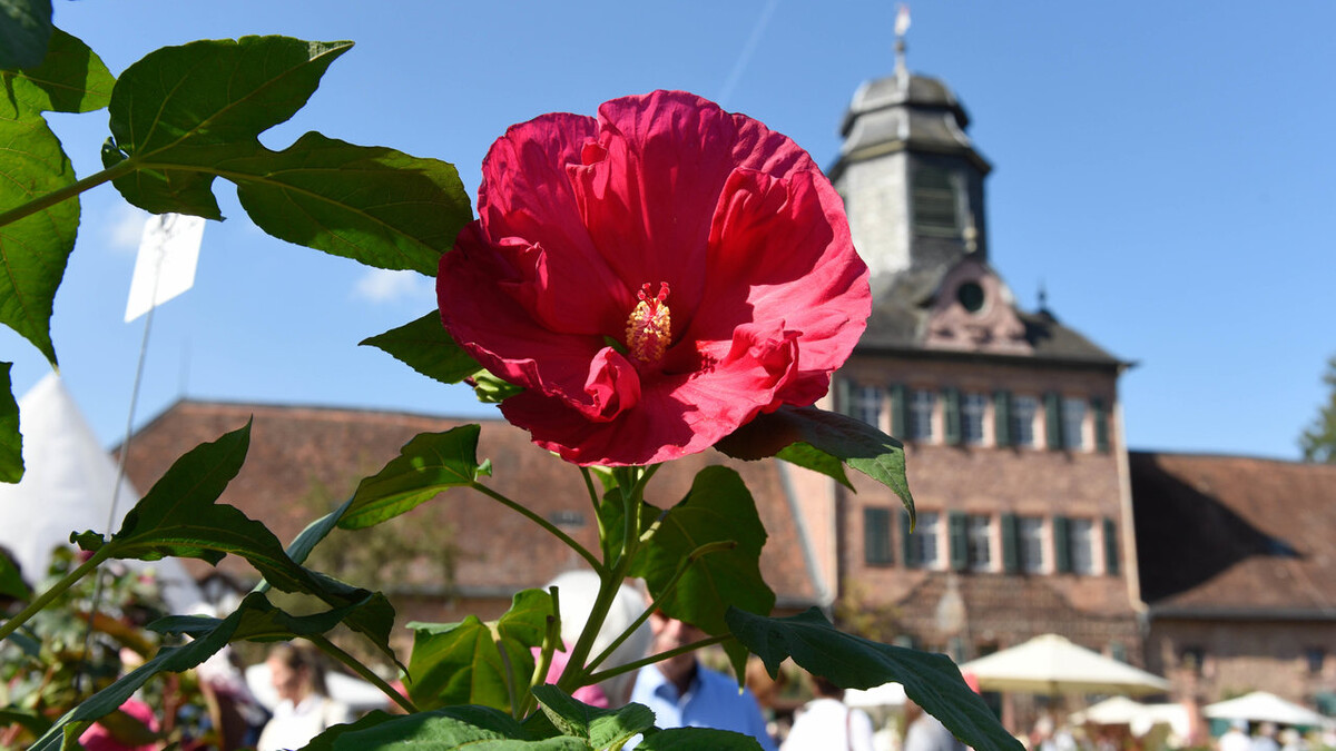 Das Furstliche Gartenfest Im Neuen Look Auf Schloss Fasanerie Osthessen News