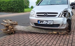 Alleinunfall: Pkw-Fahrer kracht gegen Baum - Ursache unklar