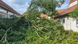 Unwetter sorgt für Starkregen und Hagel - 250 Jahre alte Linde zerstört