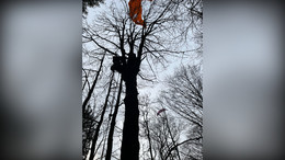 Einsatz für die Höhenretter der Bergwacht: Gleitschirm landet in Baumkrone