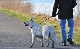 Frau und Mann aus Neuhof attackieren 39-jährigen Hundebesitzer