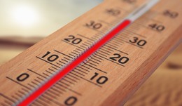 Das Schwitzen geht weiter: Über 30 Grad am Sonntag - Tipps gegen die Hitze