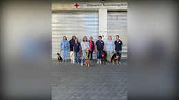 Alle bestanden: Prüfungsmarathon für Besuchs- und Therapiehunde