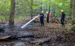 200 Quadratmeter Waldboden in Flammen - Großaufgebot an Einsatzkräften