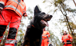 Vierbeiner retten Leben: BRH-Rettungshundestaffel rückt aus bei Tag und Nacht