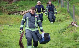 Feuerwehr befreit jungen Fuchs aus einem Wasserrohr am Grünen Weg