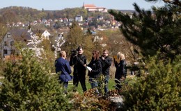 Domstadt schlüpft in die Gastgeberrolle: Alle Blicke auf die Landesgartenschau