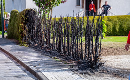 Hecke gerät bei Gartenarbeiten in Bronnzell in Brand