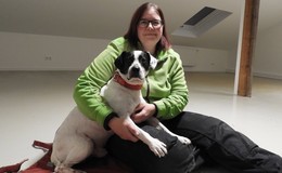Hund mit Handicap: Nelson sucht dringend eine liebevolle Pflege- oder Endstelle