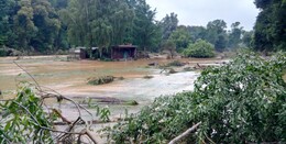 Wildpark plant Spendenaktion am Sonntag: "Für zerstörten Tierpark an der Ahr"