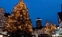 Weihnachtsbaum kommt am Donnerstagvormittag zum Linggplatz