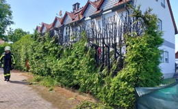 Brennende Thuja-Hecke: Flammen bedrohen Wohnhaus