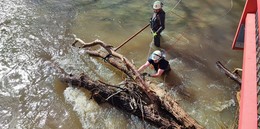 Gegen Brücke: Baumstämme im Fluss sorgen für Feuerwehreinsatz