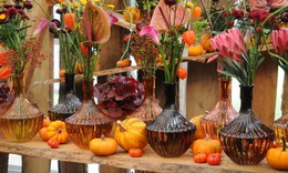 Kunterbuntes Farbspiel: "Herbstfest" stimmt auf behagliche Jahreszeit ein
