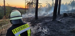 Feuerwehrkräfte im Dauereinsatz: Waldbrand breitet sich aus