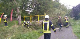 Alarmierung wegen Sturmböen: Baum drohte auf Spielplatz zu fallen