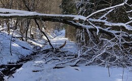 Wegesperrung in den Schwarzen Bergen