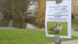 Stadt warnt wieder vor aggressiven Tieren im Innenstadtbereich
