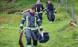 Feuerwehr befreit jungen Fuchs aus einem Wasserrohr am Grünen Weg