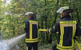 200 Quadratmeter Waldfläche in Brand geraten