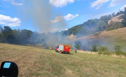 Feuerwehr verhindert Übergreifen auf Waldstück
