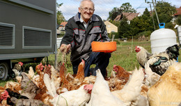 Gnadenhof in Giesel: Hier müssen Hühner keine Eier legen, aber sie dürfen