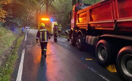 Wildunfall am Montagmorgen - Lkw weicht Reh aus und prallt gegen Baum