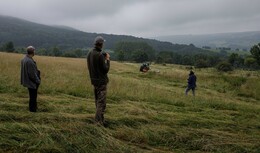 Wachtelkönig und Mauersegler wird in der Rhön geholfen