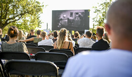 "Netzwerk-Flimmern" auf der Streuobstwiese in Niederrode
