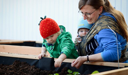 Übergabe der Gemüsegärten: um gemeinsam zu säen und zu pflanzen