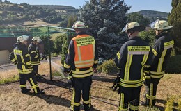 Einsatz für die Feuerwehr: Grasfläche und Hecke in Brand