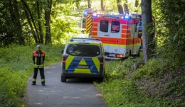 Unglück in Marbach: Person von umgestürzten Baum getroffen