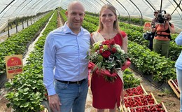 Erdbeersaison eröffnet: "Die Erdbeere ist die wichtigste Obstart in Hessen"