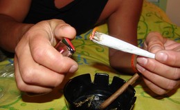 Zur geplanten Legalisierung von Cannabis: "Viel Rauch um nichts!"