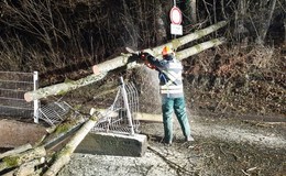 Heftiger Sturm am Freitagabend: Baum fällt auf Fahrbahn