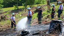 Einsatz für die Feuerwehr: Feuer drohte, auf Wald überzugreifen