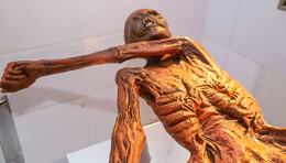 Zusätzliche Sonntagsführungen im Vonderau-Museum