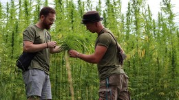 Hessische Nutzhanf-Pioniere bereiten sich auf Cannabis-Legalisierung vor