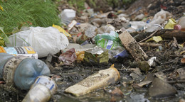 Stinkender Müll am Wegesrand: Keine Ausreden für diese Umweltsünden