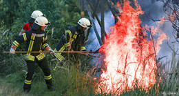 "Waldbrände nicht unterschätzen" - Infos und Verhaltensregeln zur Feuerfalle