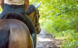 Sexueller Übergriff: Reiterin vom Pferd gezerrt und unsittlich berührt