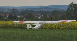Motorisiertes Kleinflugzeug muss auf Feld notlanden