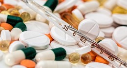 Veterinäramt informiert: Einsatz von Antibiotika auf Mindestmaß reduzieren