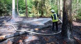 Heiße Angelegenheit bei Michelsrombach: 2.000 Quadratmeter Wald brennen